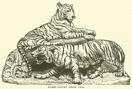 Tigers before their Lair (engraving)