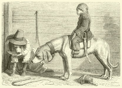 Performing animals (engraving)