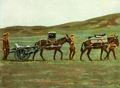 English / Brtish lightweight infantry trench gun (field gun)