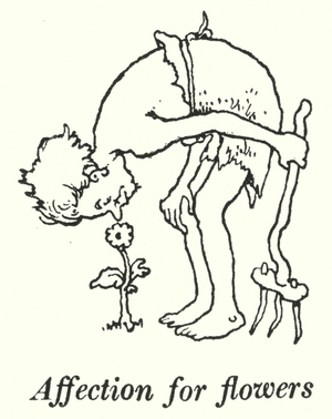 Affection for flowers (litho)