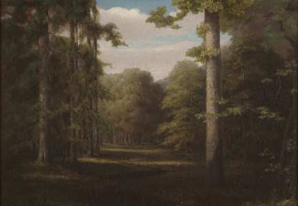 Kentucky Beech Forest, c.1839 (oil on canvas)