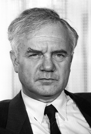 Germany, Bonn, 21.11.1990. Archive no.: 23-26-01 Meeting of the SPD Minister Presidents ..., 1990 (photo)