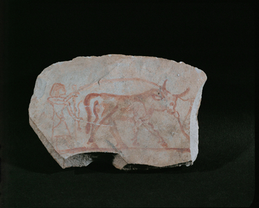 Cowherd with an ox …