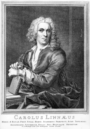 Carl von Linne (b/w photo)