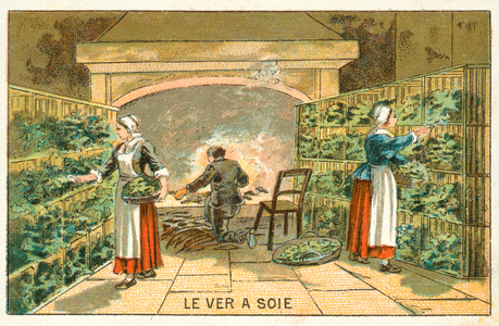 Rearing silkworms (chromolitho)