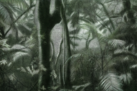 A Picturesque Voyage through Brazil 46, 2015 (photo)