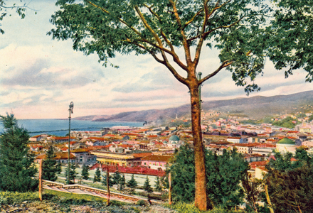 Trieste: Panorama (coloured photo)