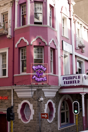 Purple Turtle, Long Street, Cape Town, Western Cape (photo)