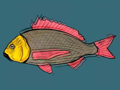 Fishy Fishy, 2019 (mixed media)