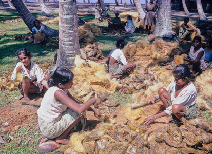 Coir coconut, Sri Lanka, 1972 (photo)