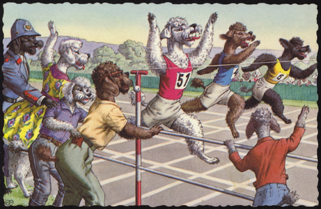 Dogs in a running race (colour litho)