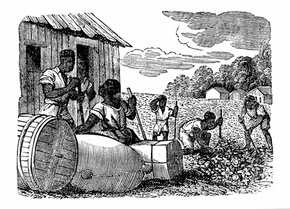 Slaves on a cotton plantation in Georgia, USA. Wood engraving c1830.