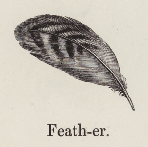 Feather (engraving)