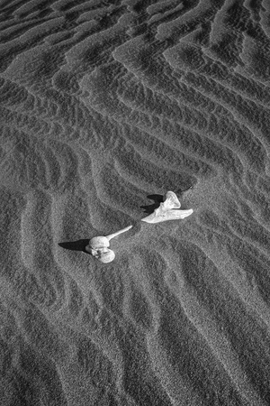 Quiet Ledger, 2021 (photo)