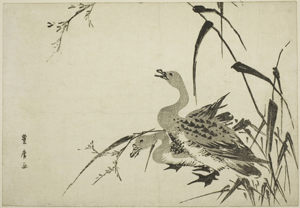 Wild Geese and Reeds, c.1810 (woodblock print; oban)