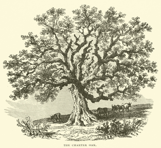 The Charter Oak (engraving)