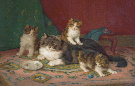 Cat postcard (colour litho)