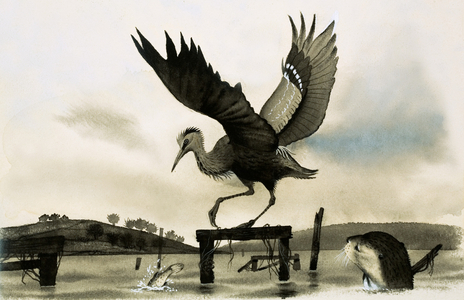 An otter watches a heron (gouache on paper)