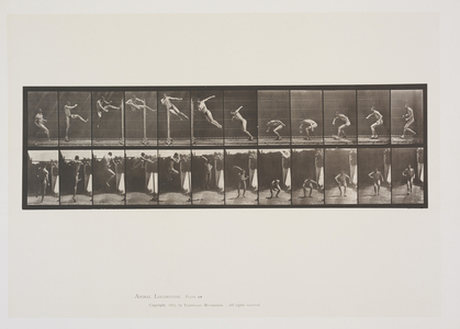 Plate 158 from Animal Locomotion, 1887 (collotype on paper) 