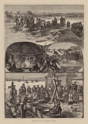 Sketches from a Bohemian Fishery (engraving)