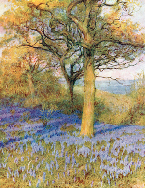 Spring in the Oakwood (colour litho)