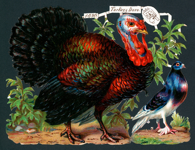 Turkey and Dove, Christmas Card (chromolitho)