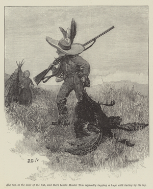 Wild Darrie, by Christie Murray and H Herman (engraving)