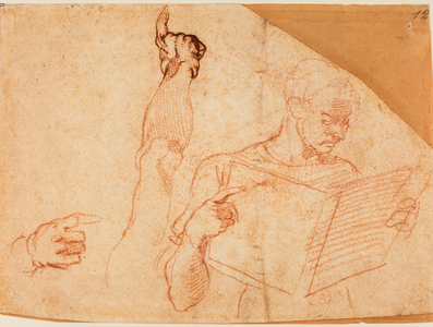 Figure study for the 'Punishment of Aman' in the Sistine Chapel, 1511 (drawing)
