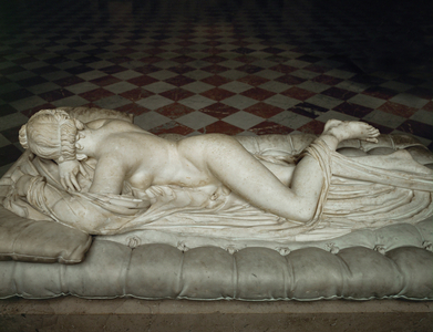 Sleeping hermaphrodite ...