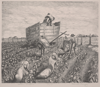 Cotton Pickers (litho)