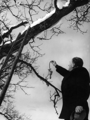 Murder night of Penzberg: Survivor Sebastian Tauschinger, 1956 (b/w photo)