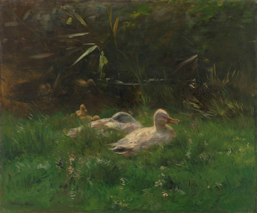 Ducks, 1880 (oil on canvas)