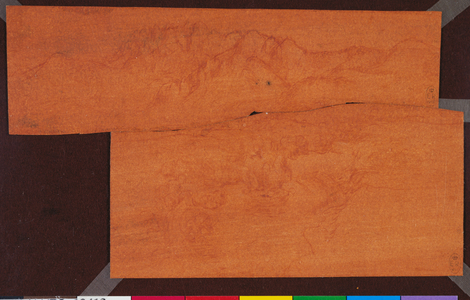 A landscape with mountains and a river c.1511 (red chalk on paper)