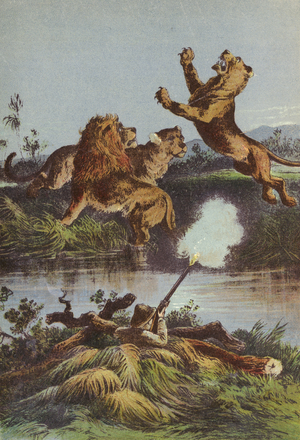 Lion hunting at night (colour litho)