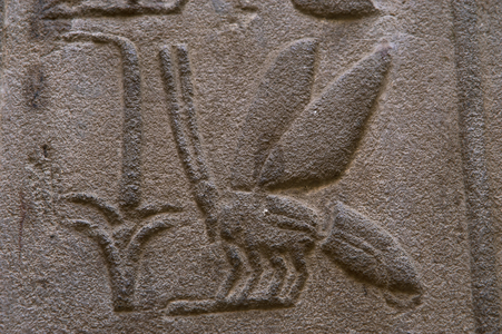 Hieroglyphic writing.