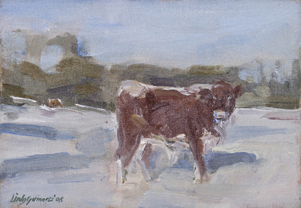 Mollie Calf in the Snow, (oil on board)