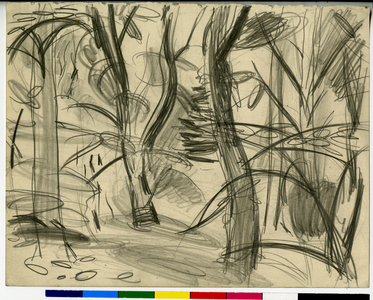 Tree Trunks - Sketch, c.1920-73 (pencil on paper)