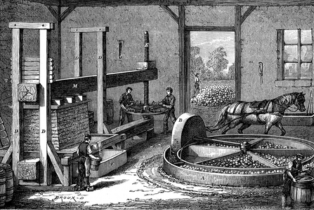 Cider apples press, 1874 (engraving)