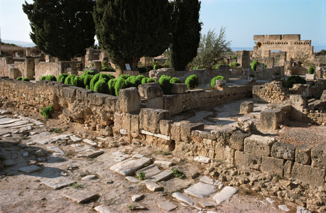 Overall view of Utica site