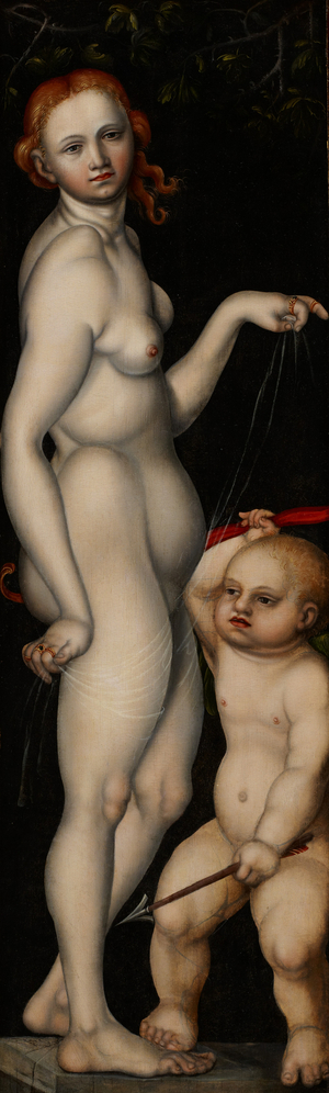Venus and Cupid, c.1529 (oil on panel)