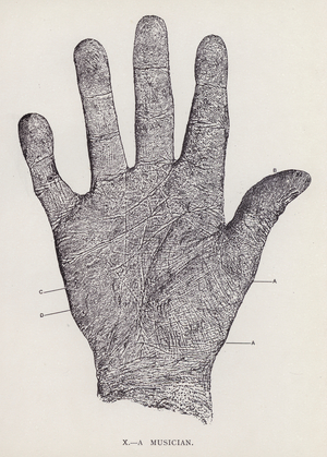 A Musician (litho)