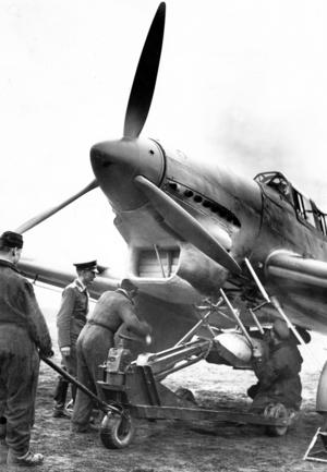 III Reich - German Air Force, 1939 (photo)