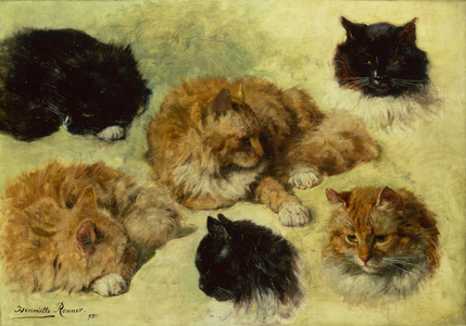 Studies of Cats, 1895 (oil on canvas)