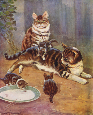 Nell was a beautiful tabby (colour litho)