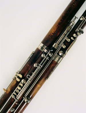 Close-up of contra bassoon
