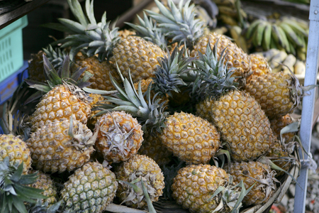 Pineapples, Grande Baie, Northern Region, Mauritius (photo)