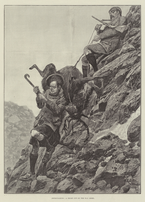 Deerstalking, a Short Cut on the Way Home (engraving)