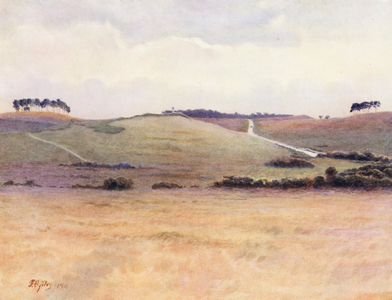 Surrey: Chobham Common (colour litho)