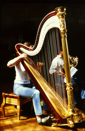 INSTRUMENT - STRINGS -