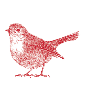 Robin, 2017 (digital)